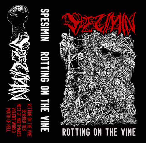 Rotting on the Vine